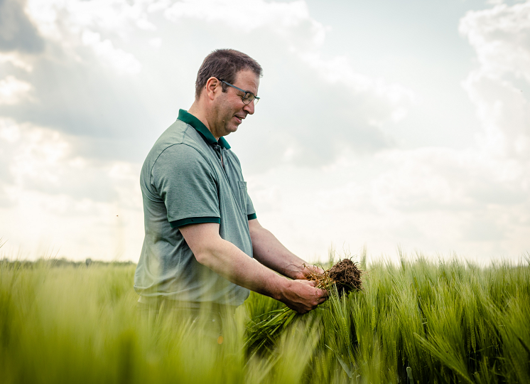 Naast een zeer hoog opbrengstpotentieel, heeft HYVIDO hybride gerst nog meer voordelen zoals betere water- en nutrienten efficientie en betere beworteling en uitstoeling.