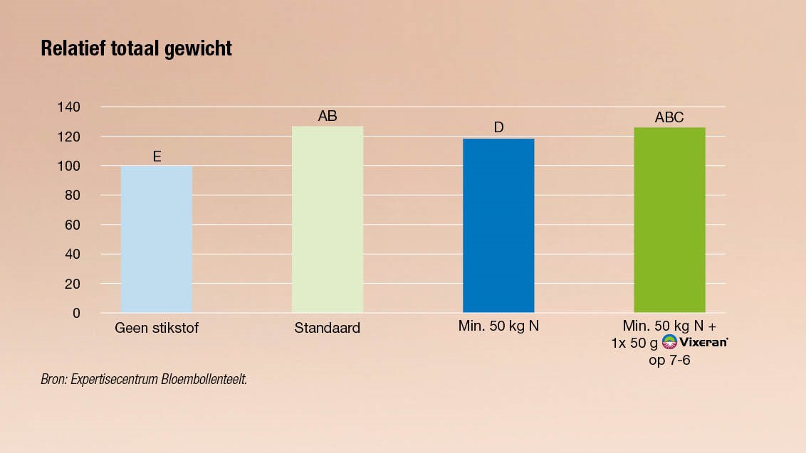 Grafiek bloembollen