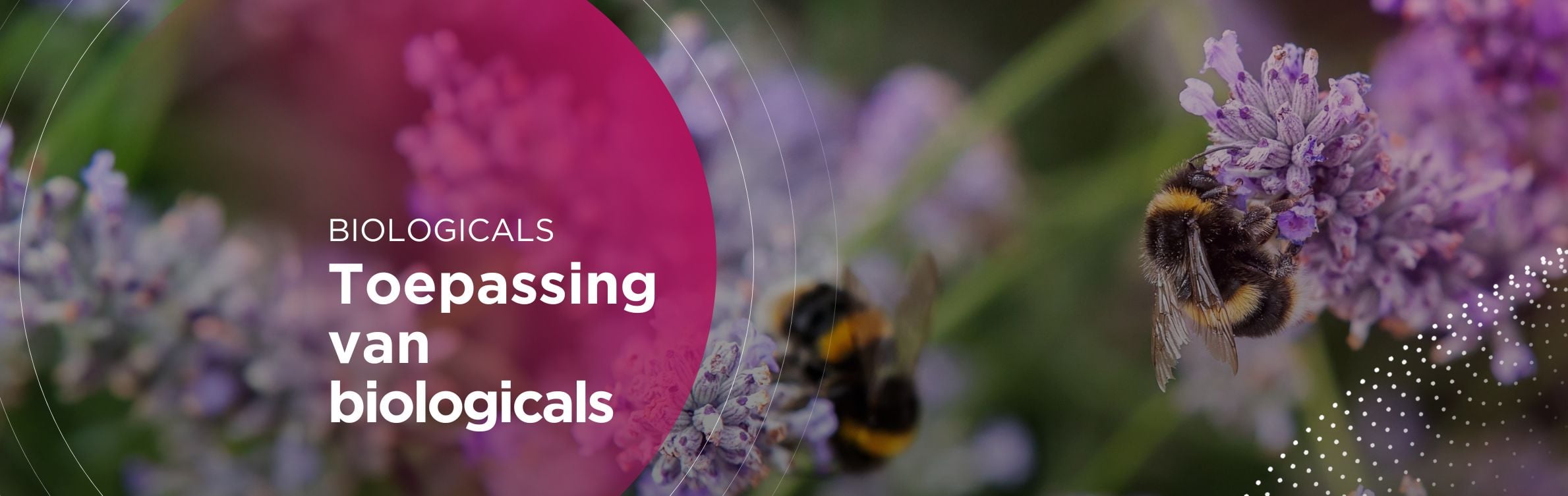 Toepassing van biologicals