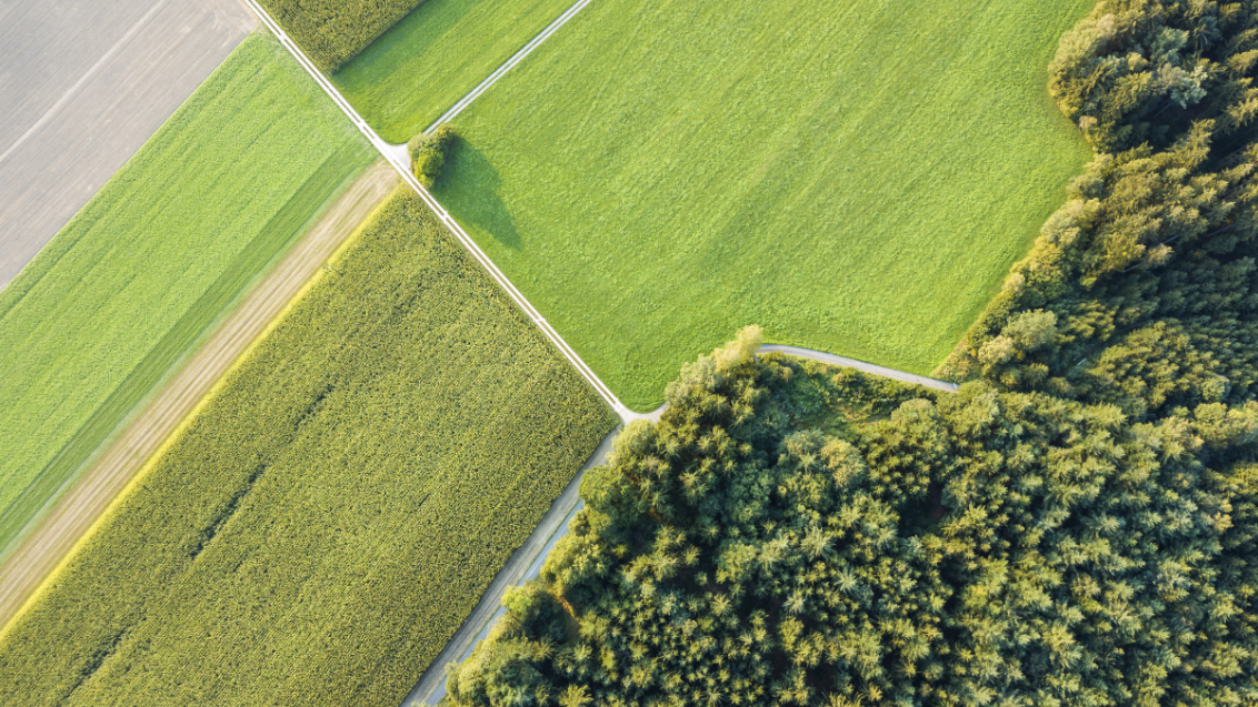 Visual duurzaamheidsprioriteiten