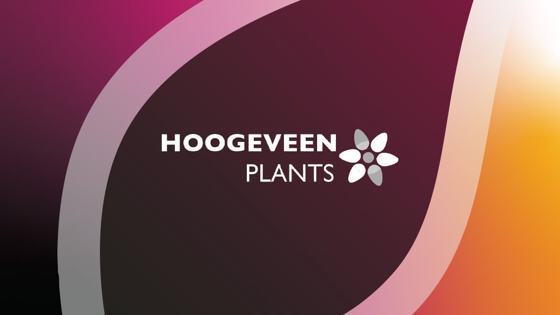 Hoogeveen Plants