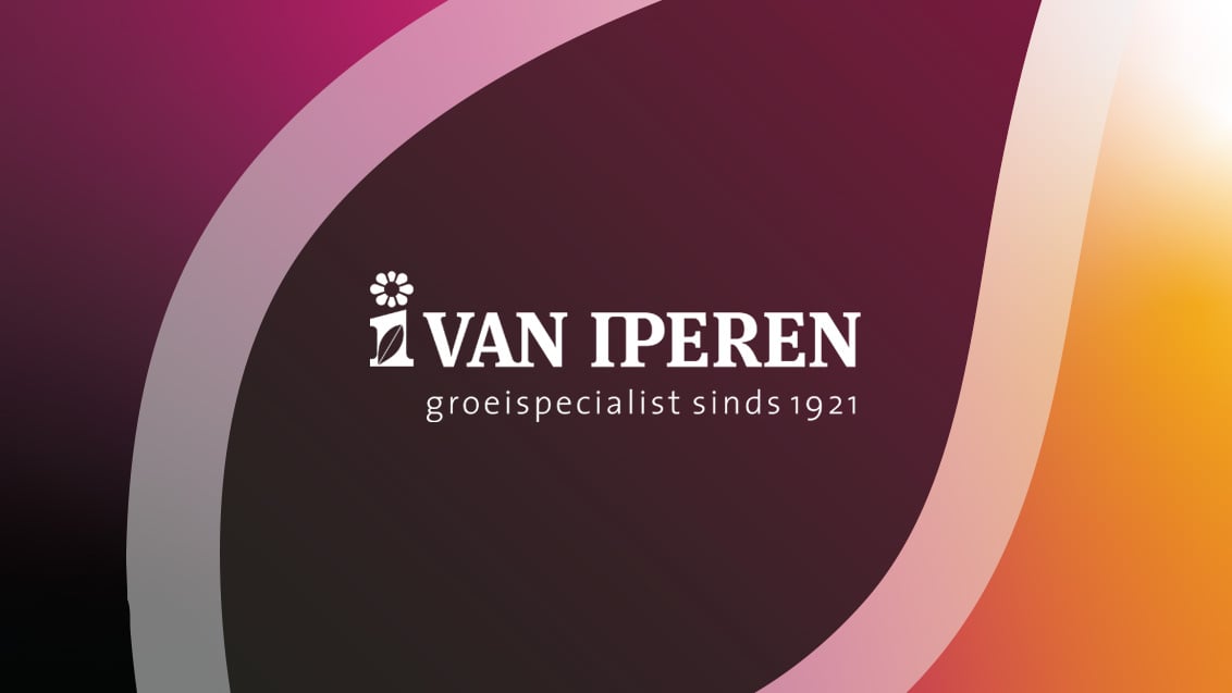 Van Iperen logo