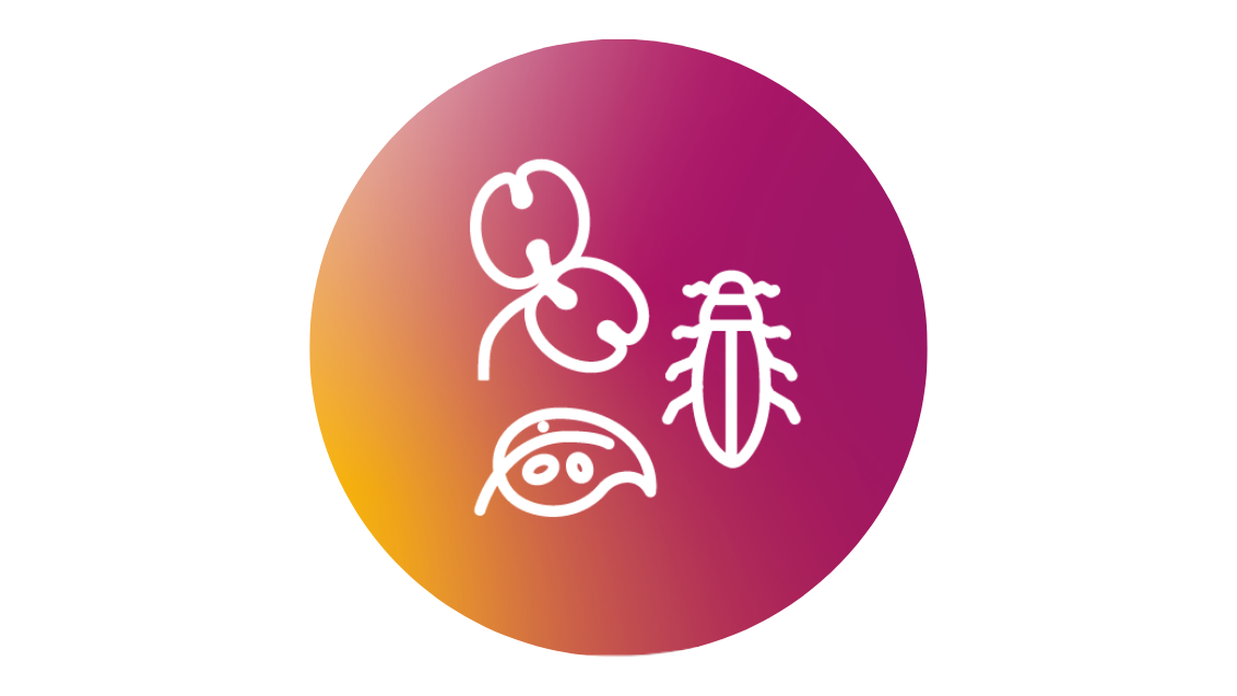 Rond paars-oranje logo met witte pictogrammen van insect, rijst en oog