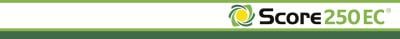 1496755464323778223-SYNGENCP-7001_SCORE_250_EC.jpg