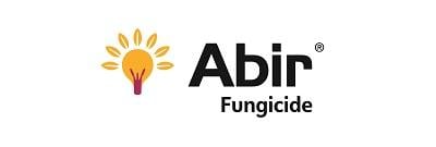 cb279faf-6812-4cd1-95b0-fd2005fc25d8-400x135_bnl_Abir_logo.jpg