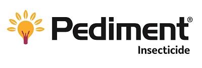 1525249044676954390-Pediment logo 400x135.jpg