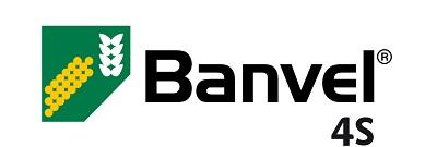 1496753006949856161-Banvel 4S logo 400x135.jpg
