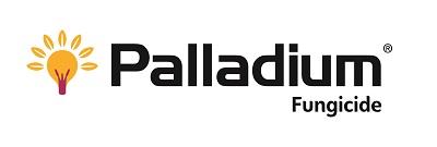 1525249021698425773-Palladium logo 400x135.jpg
