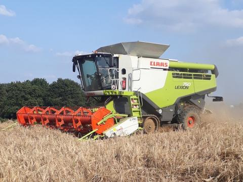 Gerst met twee snedes - proef op Hooibeekhoeve -Fabulous Farmers