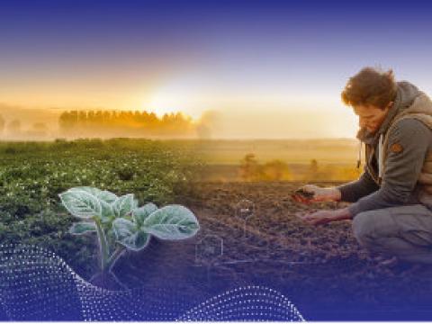 Syngenta op Aardappeldemodag Stand 37