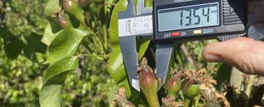 1132x637_bnl_peren_meten_30-04-2026