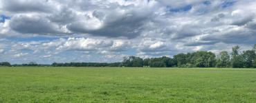 Grasland 