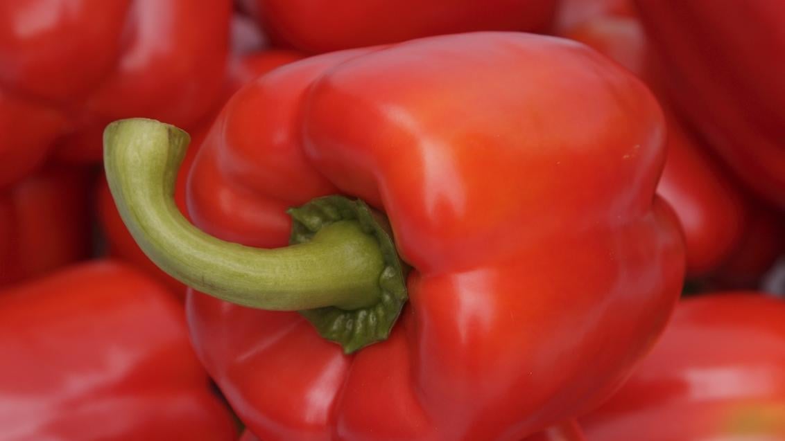 Rode paprika