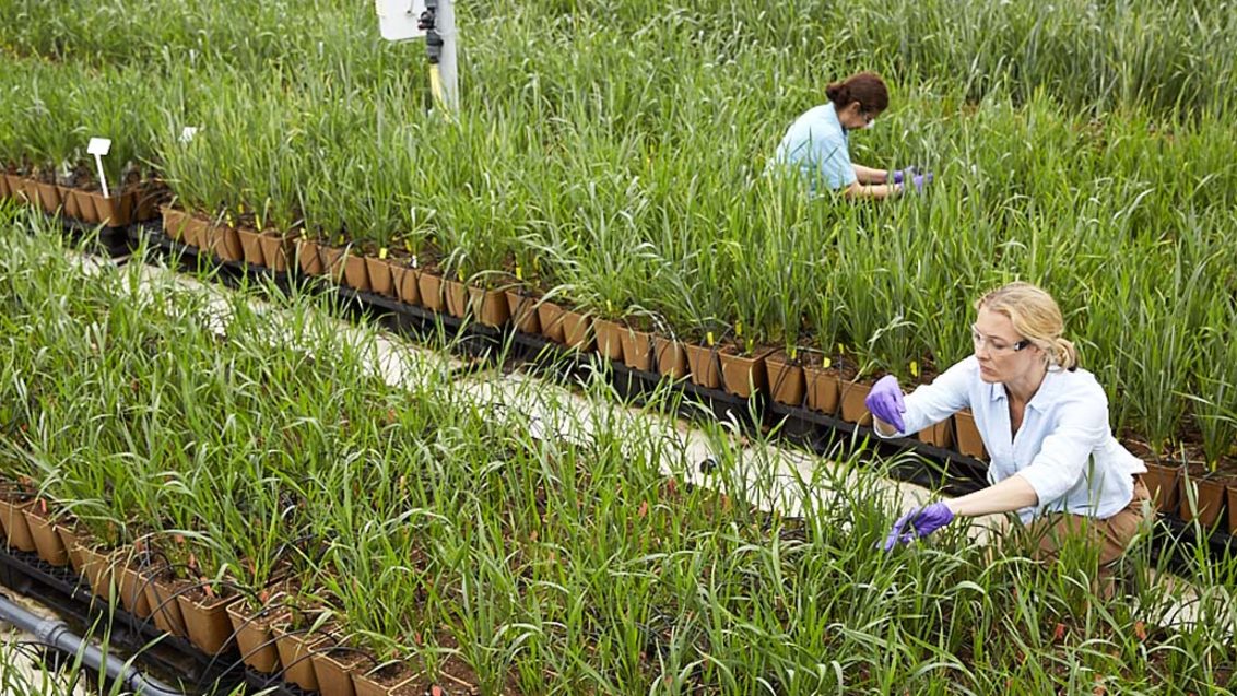 imnovatie versnellen duurzaam sustainability landbouw agriculture