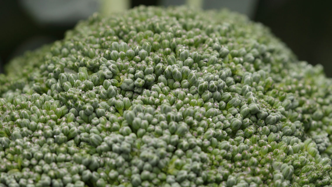 Groentenplatform Broccoli