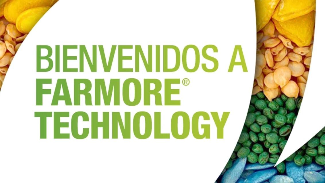 Farmore logo ES