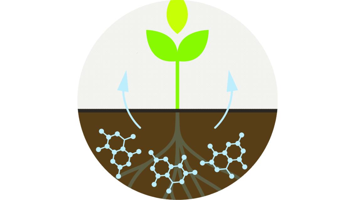 Biologische Producten