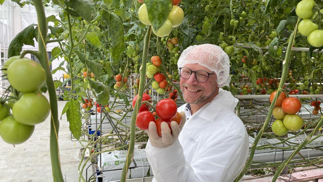 Marcel Prins in de kas