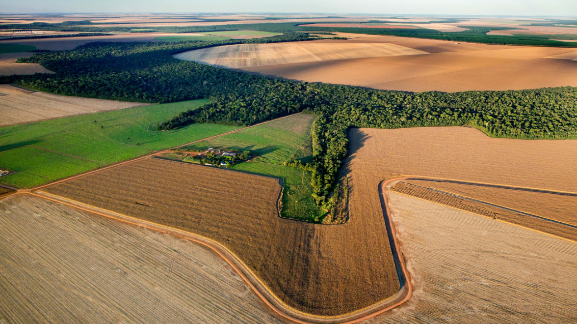 Arial view of Reverte project