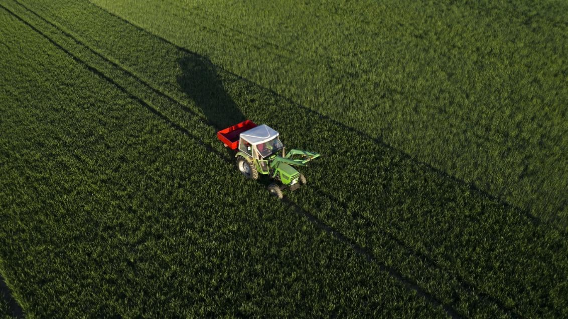 KV Over Syngenta