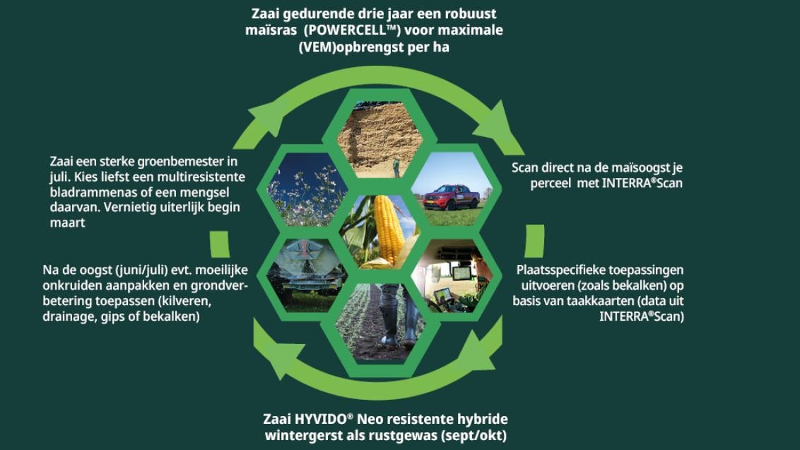 “HYVIDO® Neo hybride gerstassen  halen de meeropbrengst van de de beste HYVIDO® variëteiten, en voegen daar BYDV resistentie aan toe