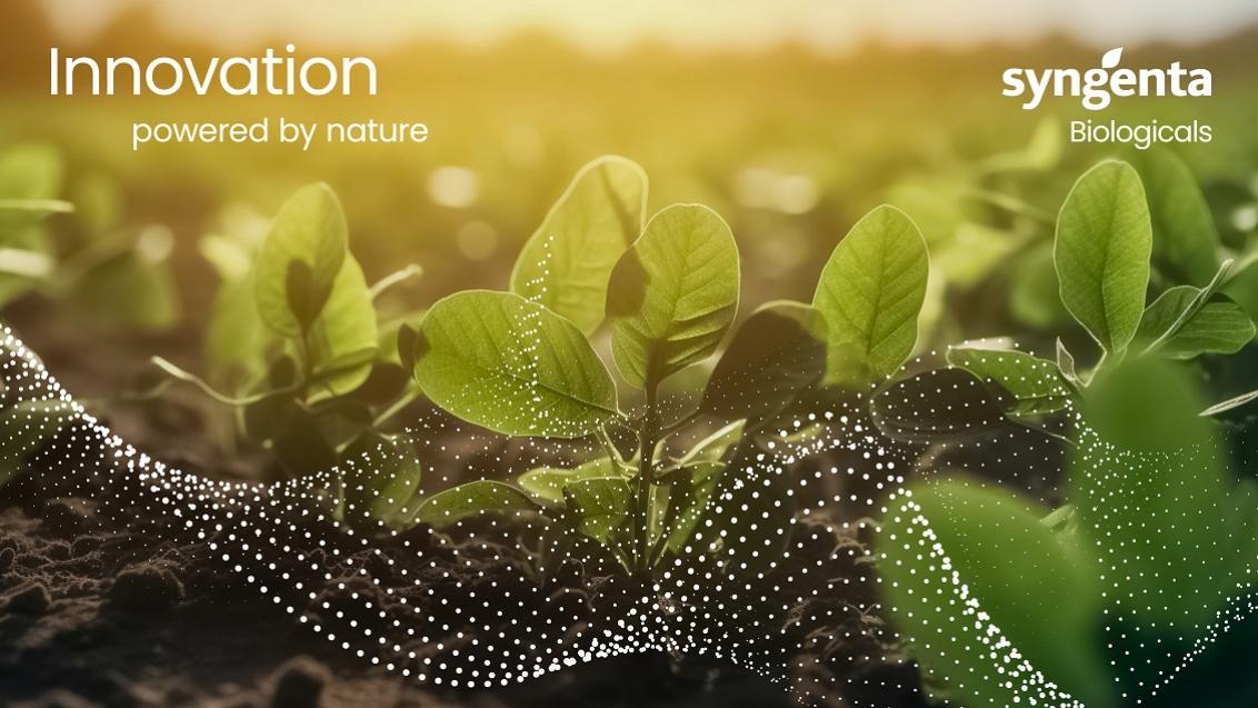 Syngenta biologicals background