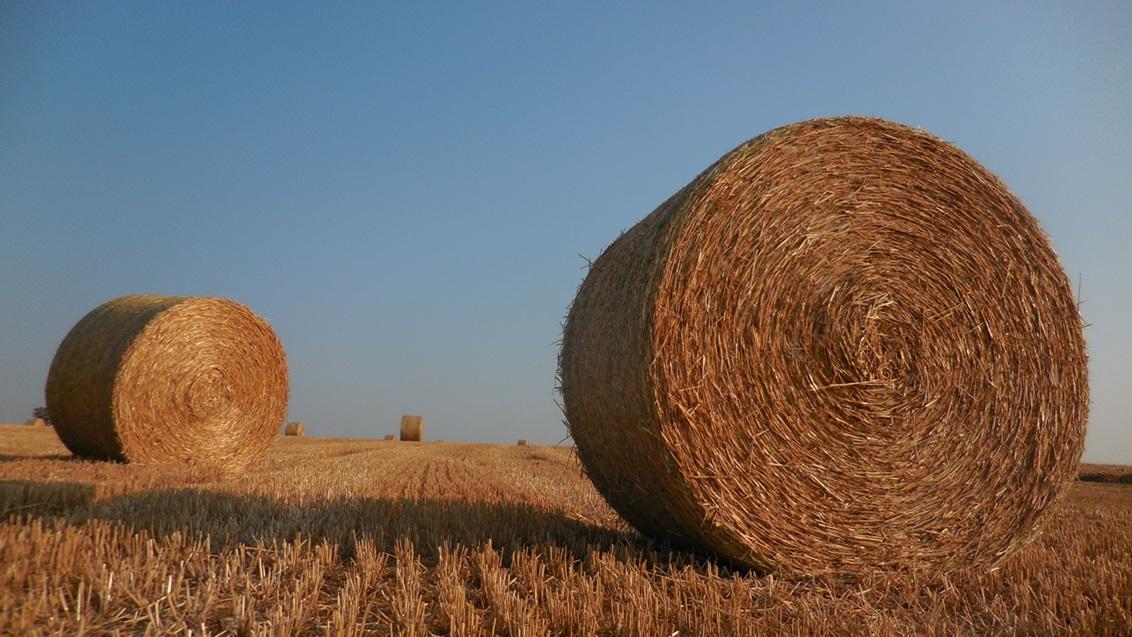 Profiteer van 10% meer graan én tot €80/ha extra strowinst
