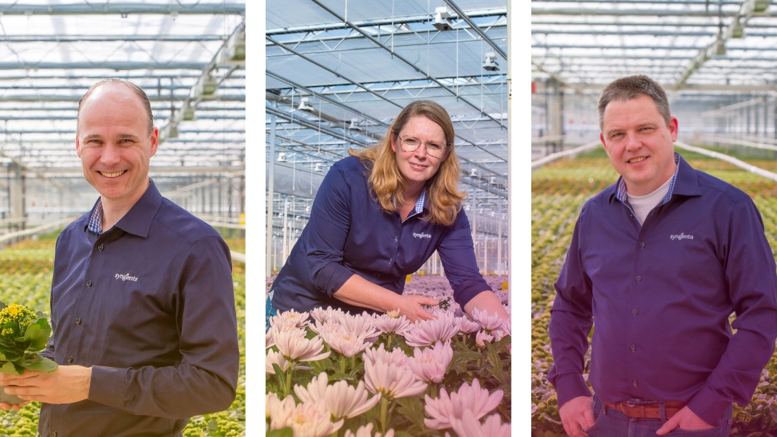 Drie portretten van experts in een kas tussen groene planten en roze bloemen