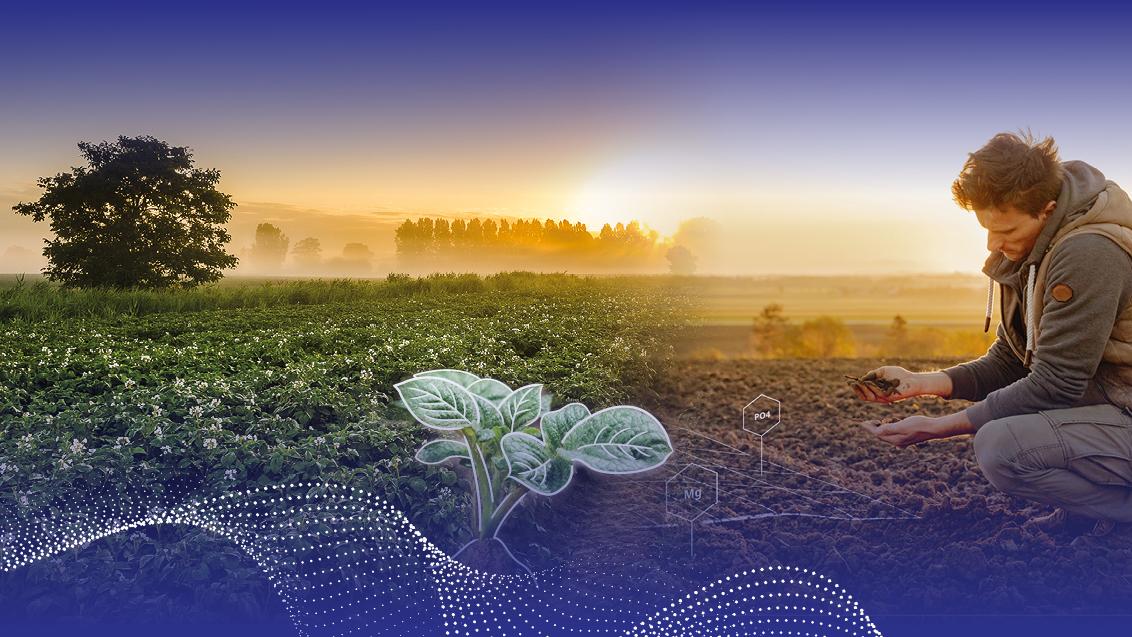 Syngenta op Aardappeldemodag Stand 37