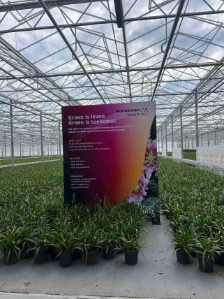 EXPERT CENTRE LIVE Syngenta 03