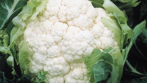 Bloemkool-Broccoli-assortiment