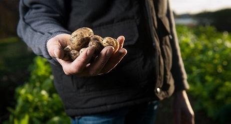 Tevreden gebruikers Nemathorin