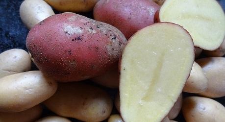 trichodorusaaltje bedrijden met Nemathorin
