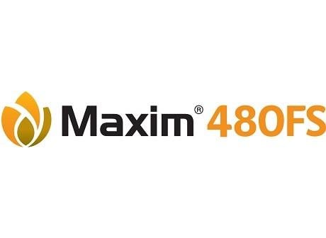 Maxim