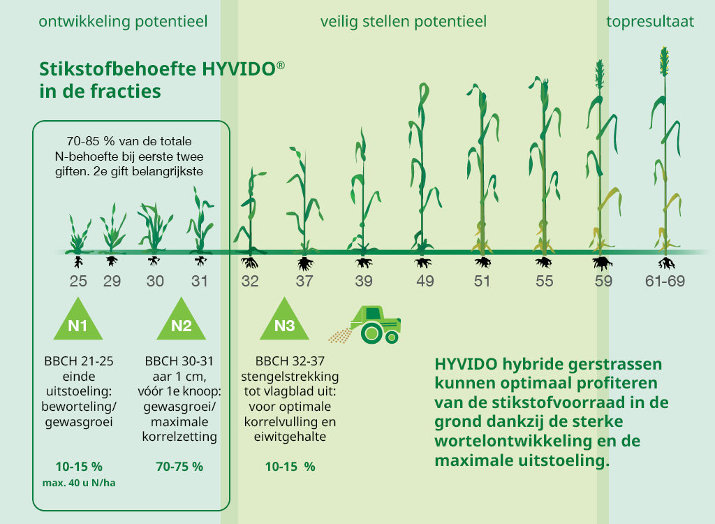 Hoe gaat de stikstofbemesting bij HYVIDO hybride wintergerst in zijn werk?