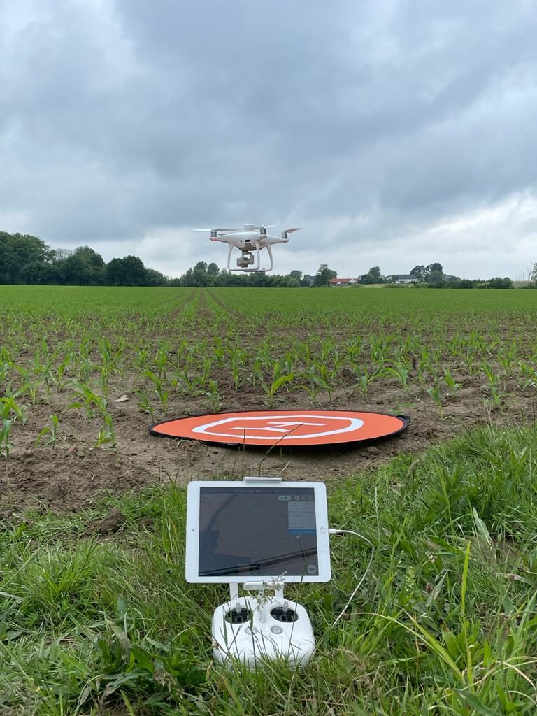 Met de drone worden plantentellingen verricht