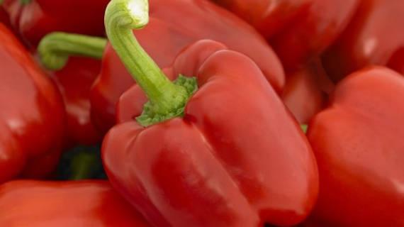 Paprika