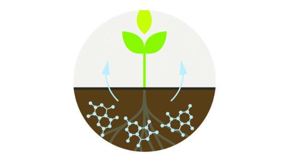 Syngenta Seedcare Biologicals