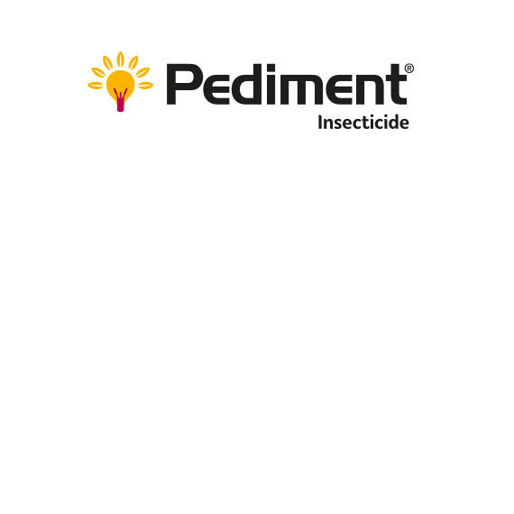 Pediment
