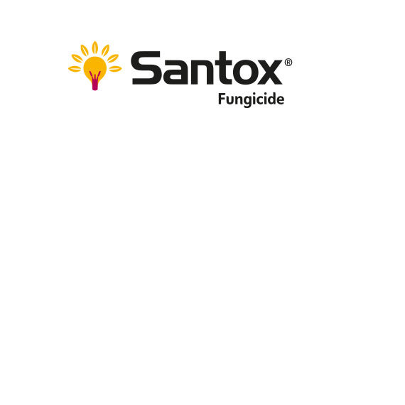 Santox