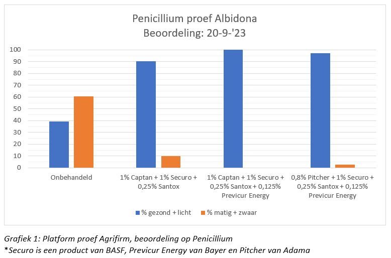 Penicillium proef Albidona