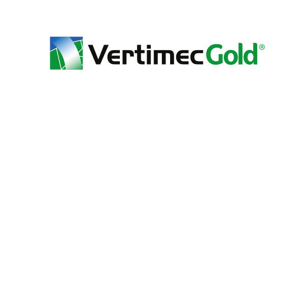 570x570_logo_vertimec_gold.jpg