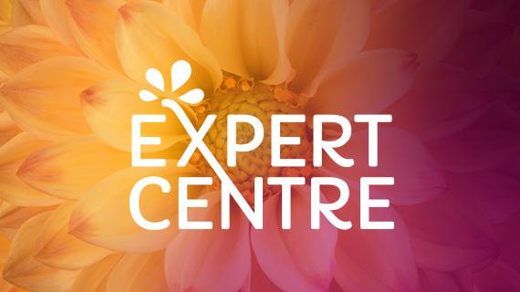 expert centre teaser