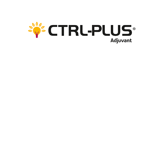 Ctrl-plus