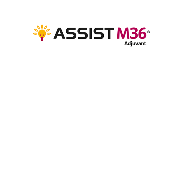 Assist M36