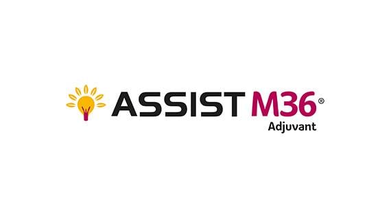 ASSIST M36