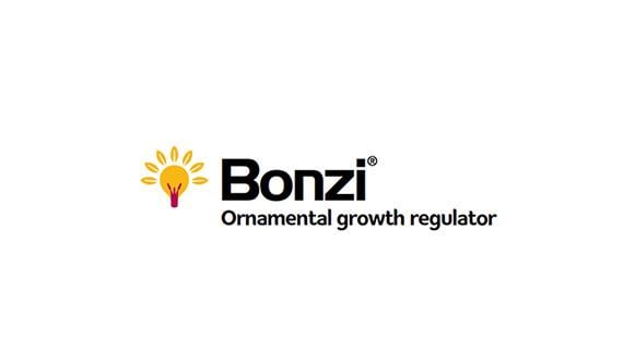 Bonzi