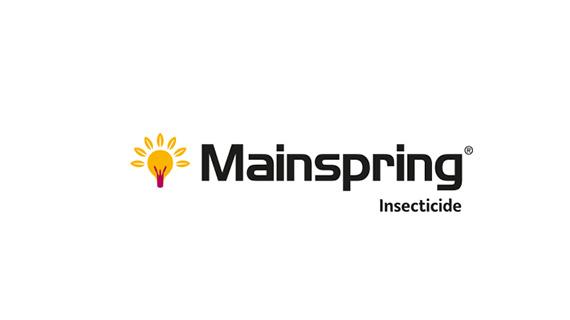 Mainspring