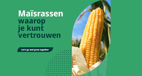 Download de maisfolder voor seizoen 2025. Overzicht rassen en teeltinfo