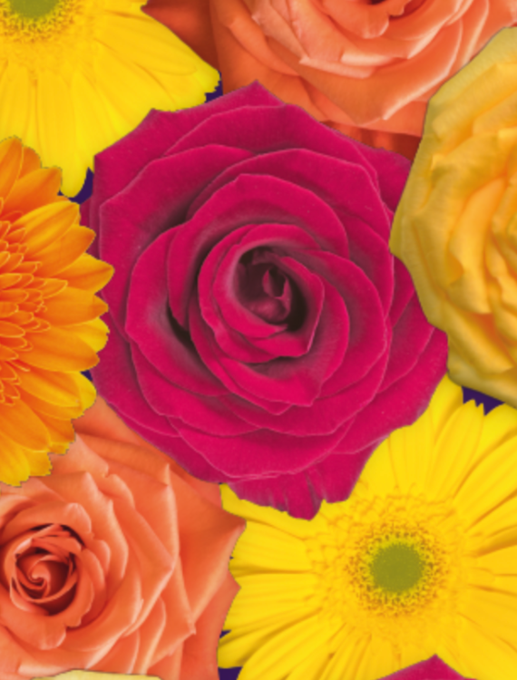 flowers